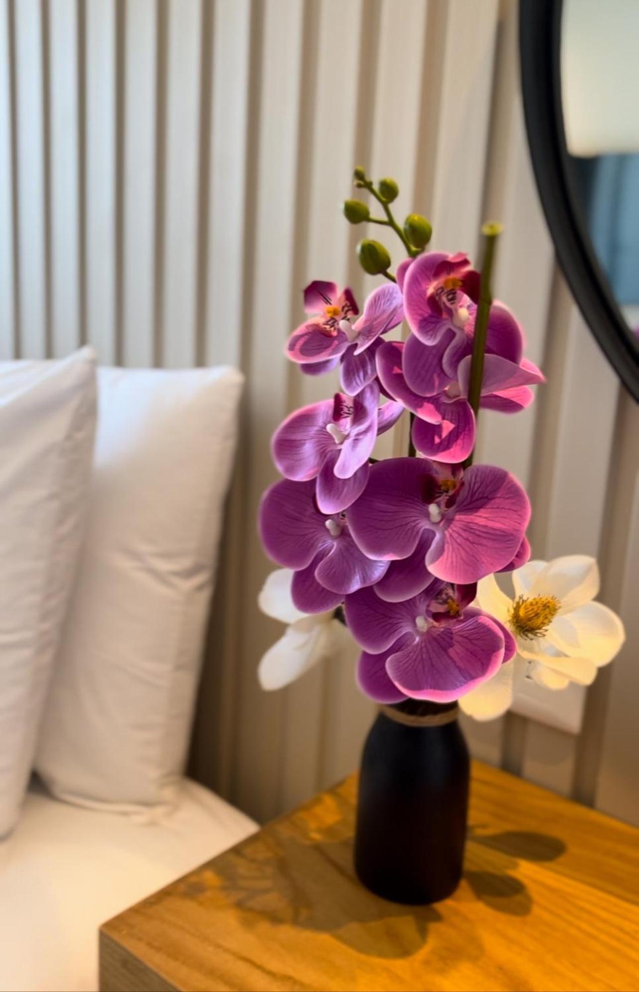 Coralia Boutique Hotel 코수멜 외부 사진